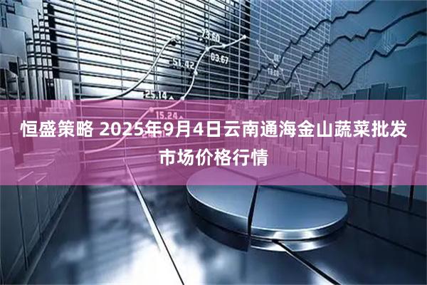 恒盛策略 2025年9月4日云南通海金山蔬菜批发市场价格行情