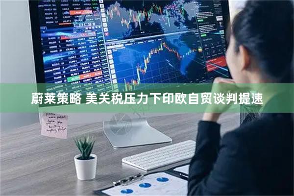蔚莱策略 美关税压力下印欧自贸谈判提速