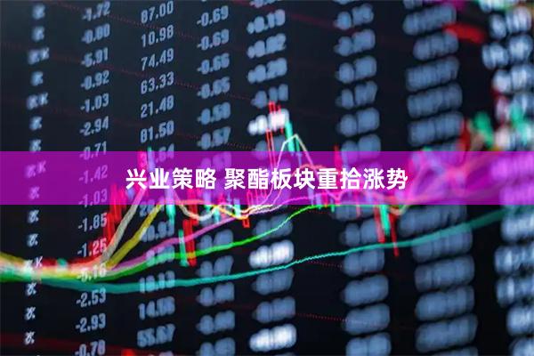 兴业策略 聚酯板块重拾涨势