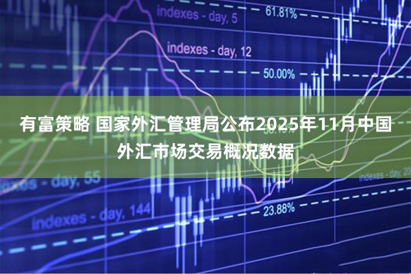 有富策略 国家外汇管理局公布2025年11月中国外汇市场交易概况数据