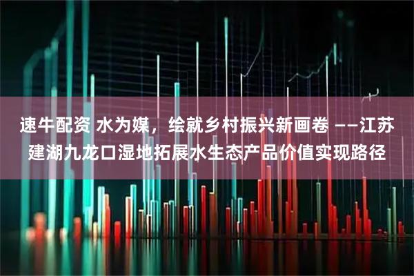 速牛配资 水为媒，绘就乡村振兴新画卷 ——江苏建湖九龙口湿地拓展水生态产品价值实现路径