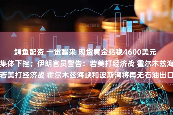 鳄鱼配资 一觉醒来 现货黄金站稳4600美元 美股股指期货、国际油价集体下挫；伊朗官员警告：若美打经济战 霍尔木兹海峡和波斯湾将再无石油出口